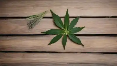 Top 5 de las Plantas con Más Terpenos que Debes Conocer