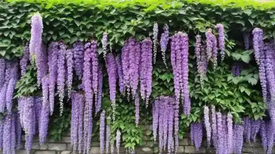 Top 10 de las Plantas Trepadoras Más Bonitas para Transformar tu Jardín