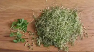 Top 5 Plantas Galactagogas: Hierbas para Producir Más Leche Materna