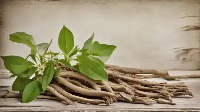 Top 7 Plantas con Saponinas: Los Detergentes Naturales del Reino Vegetal