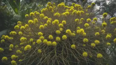 Top 5 de las Plantas Más Importantes de Río de Janeiro: Símbolos de la Ciudad Maravillosa
