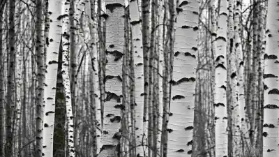 Top 7 de las Plantas Más Importantes de Rusia: Símbolos de un Gigante Natural