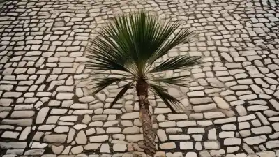 Top 5 de las Plantas Más Importantes de Gualeguaychú: Emblemas de su Identidad
