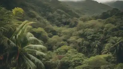Top 10 de las Plantas Más Comunes en Honduras: Un Viaje por su Verde Esplendor