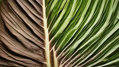 Top 7 de las Plantas con las Hojas Más Grandes del Mundo: Gigantes Verdes