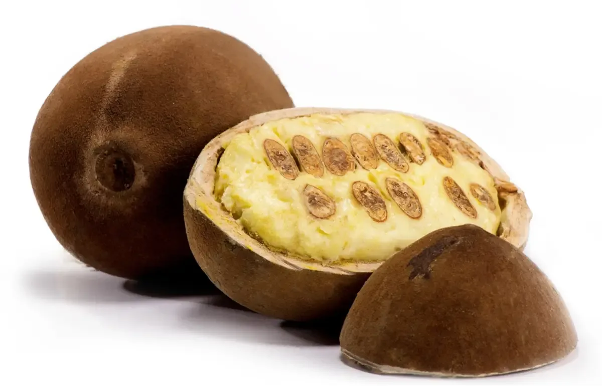 Copoazú (Theobroma grandiflorum)