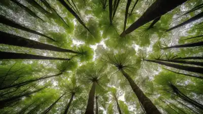 Los 5 Lugares Más Biodiversos del Planeta: Tesoros de Vida Irrepetibles