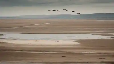 Los 10 Lugares Más Bonitos de Bahía Blanca Que Te Dejarán Sin Aliento