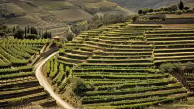 Los 10 Lugares Más Bonitos del Norte de Portugal Que Te Dejarán Sin Aliento
