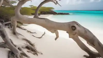 Top 10 de los Lugares Más Bonitos de Aruba que Te Dejarán Sin Aliento