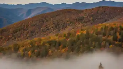Los 10 Lugares Más Bonitos de Carolina del Norte Que Te Dejarán Sin Aliento