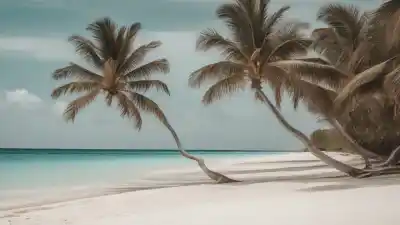 Los 10 Lugares Más Bonitos de Cozumel: Paraíso Caribeño que Debes Visitar
