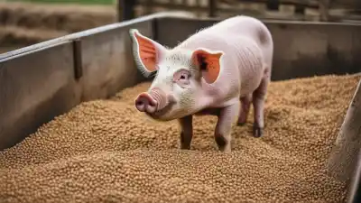 Top 7 de las Comidas Típicas de Cerdos que Todo Criador Debe Conocer