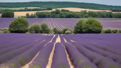 Los 10 Lugares Más Bonitos de Francia Que Te Dejarán Sin Aliento