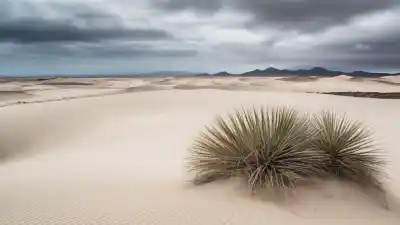 Los 10 Lugares Más Bonitos de Fuerteventura: Un Paraíso por Descubrir