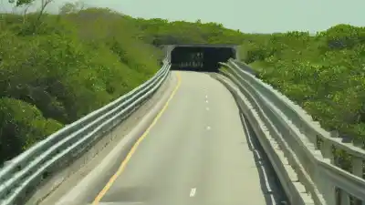 Top 10 de los Lugares Más Bonitos de Florida que Te Dejarán Sin Aliento