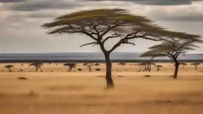 Los 10 Lugares Más Bonitos de Kenia: Un Safari por la Belleza Salvaje