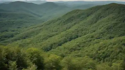 Los 10 Lugares Más Bonitos de Kentucky Que Te Dejarán Sin Aliento