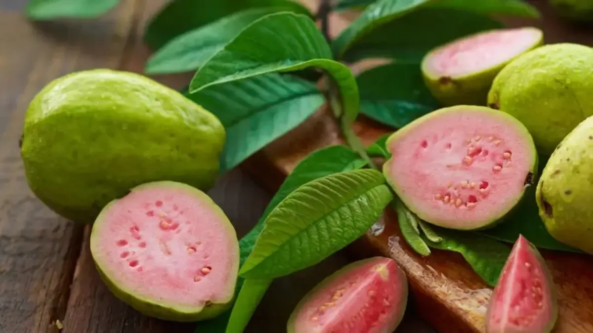 Guayaba (Psidium guajava - variedades nativas)