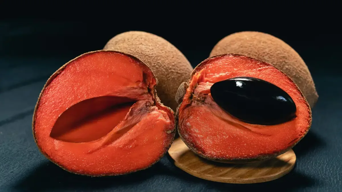 Zapote _ Mamey (Pouteria sapota)