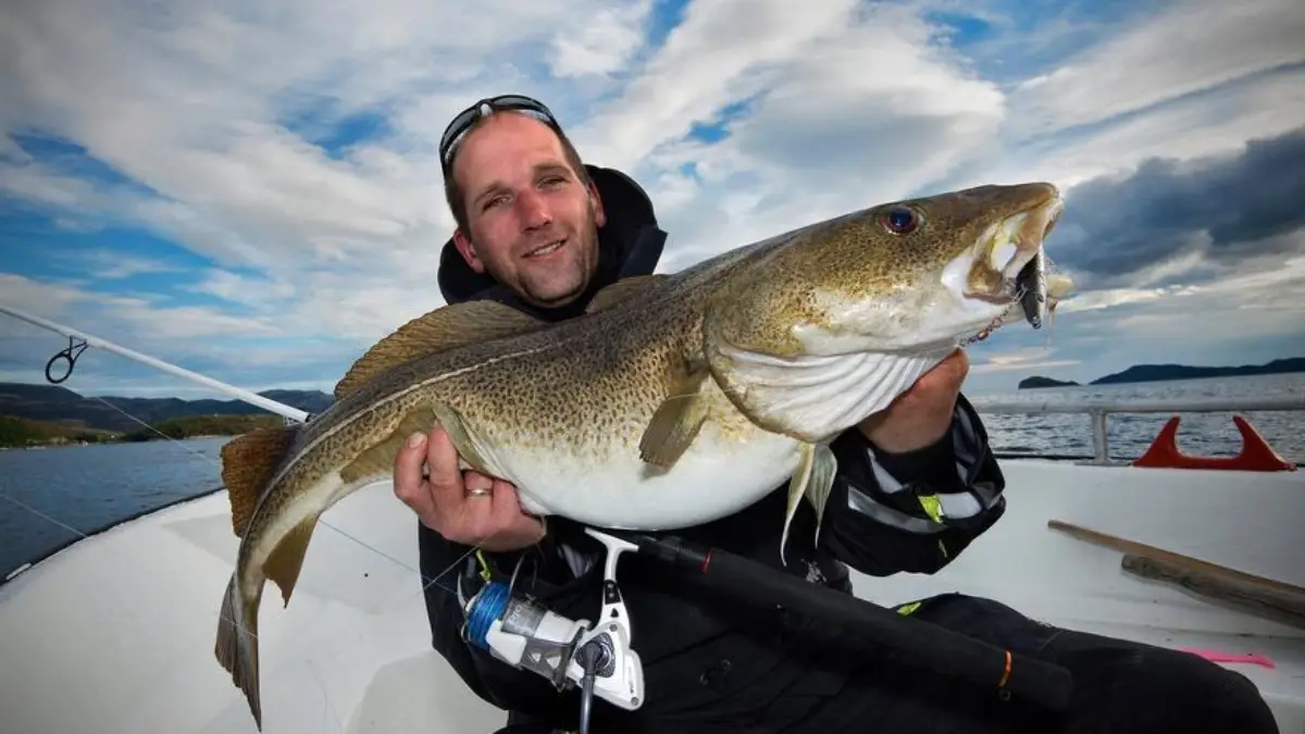 pesca bacalao atlantico