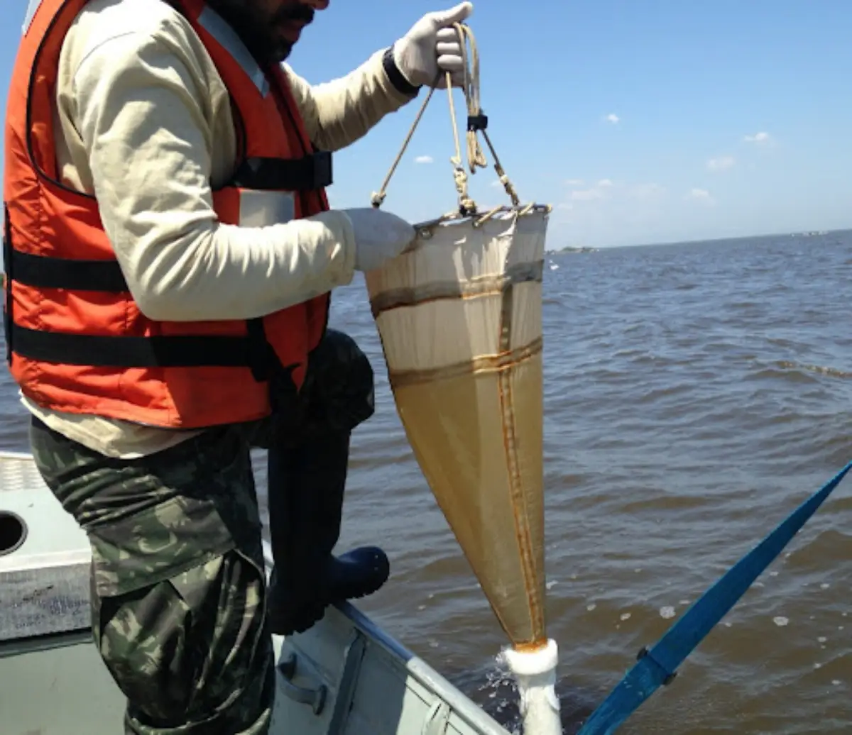 plancton marino con cientificos