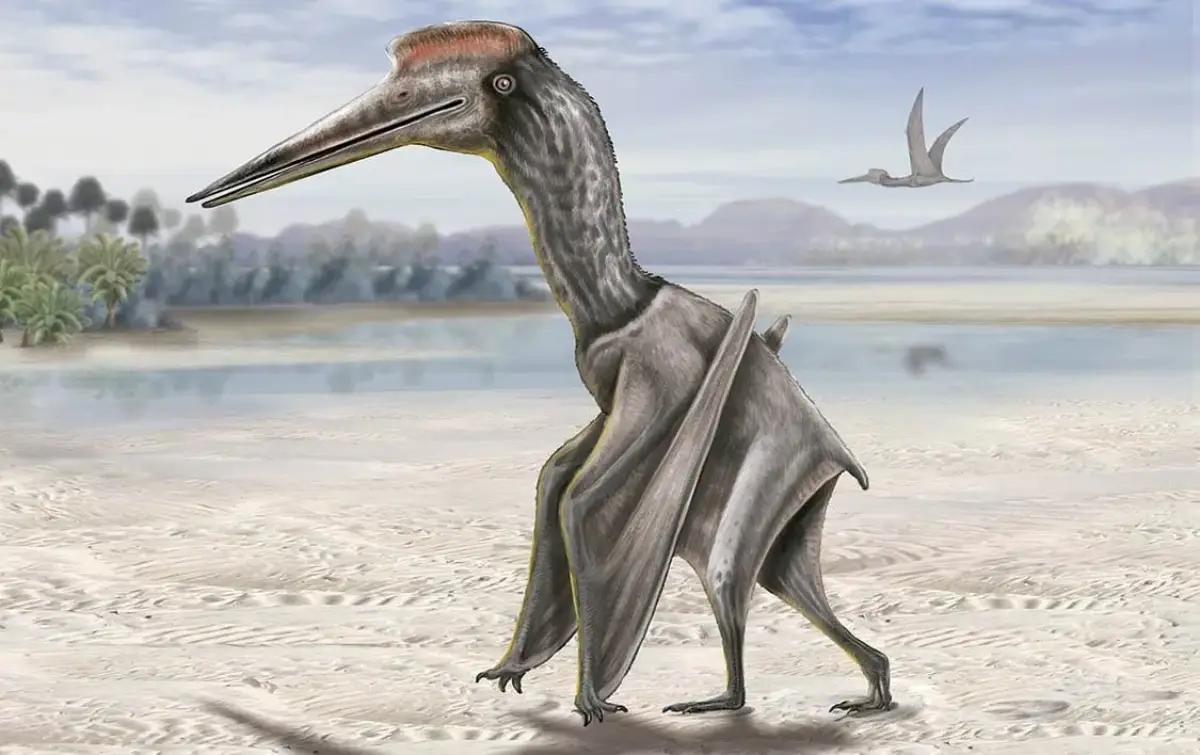 Quetzalcoatlus caminando en tierra firme