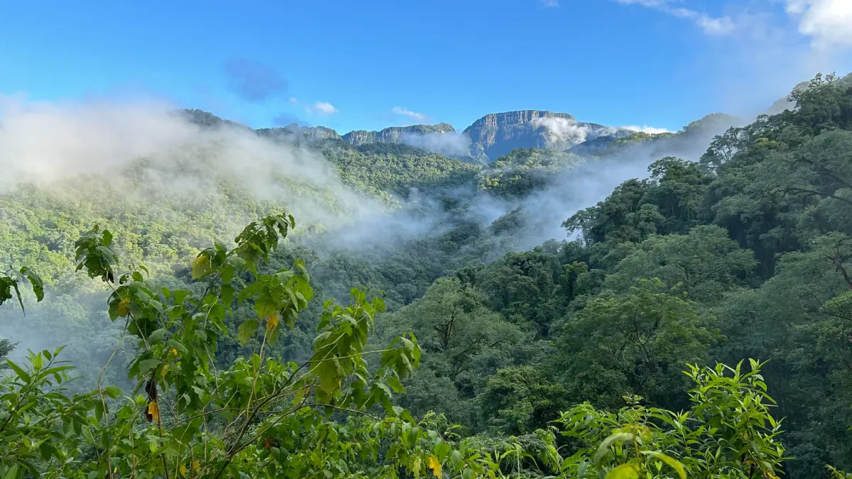 Montañas del Parque Nacional Calilegua (1)