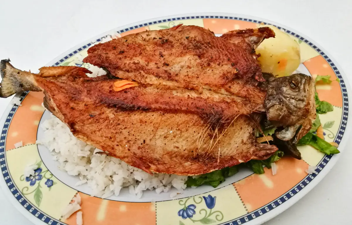 Trucha Frita o Asada - Lobatera